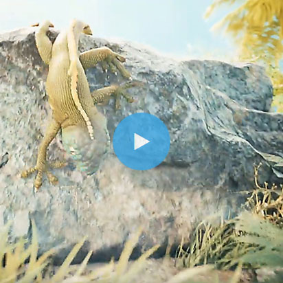 Animazione 3D Personaggio Animale con Video Render Esterno e Natura